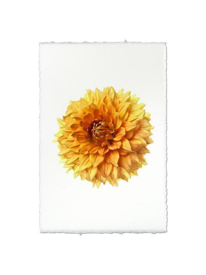 Dahlia Print - Ads Centennial