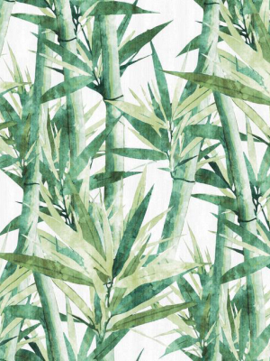 Lucky Bamboo Peel & Stick Wallpaper In Green By Roommates For York Wallcoverings