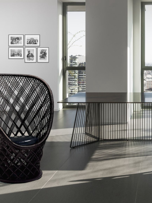 Pavo Real Armchair By Driade