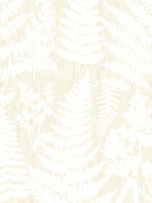 Herbarium White Wall Mural By Eijffinger For Brewster Home Fashions
