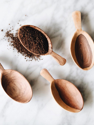 Wild Olive Wood Petal Scoop Set