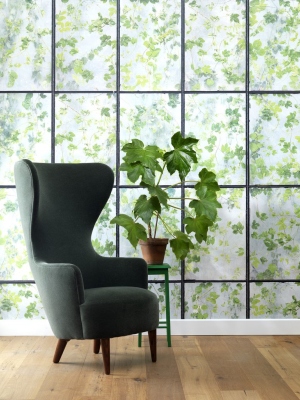 Greenhouse Wallpaper Design By Erik Gutter For Nlxl