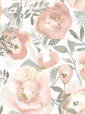 Orla Floral Wallpaper In Rose From The Bluebell Collection By Brewster Home Fashions