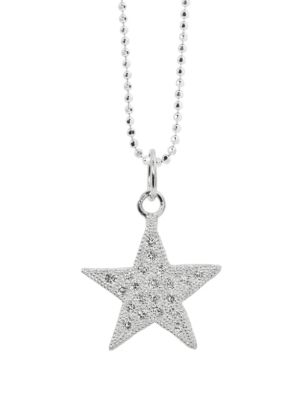 Julez Bryant 14k Gold Audi Small Diamond Star Charm