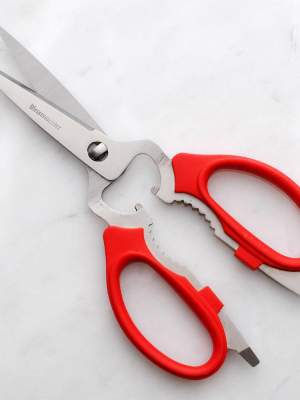 8 Inch Take-apart Kitchen Scissors