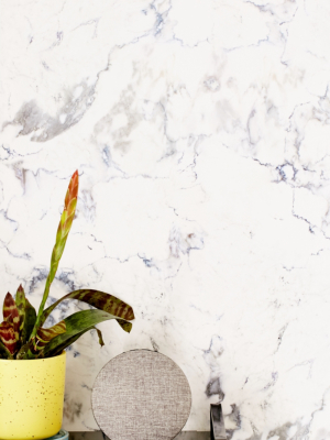 Marble Removable Wallpaper