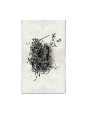 Nest #1 Print