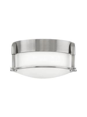 Colbin Foyer Light Ceiling Light