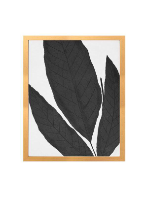 Blanc & Noir Leaf A