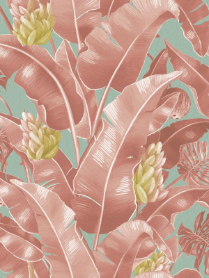 Kingdom Palm Wallpaper (two Rolls) In Rosada From The Kingdom Home Collection By Milton & King