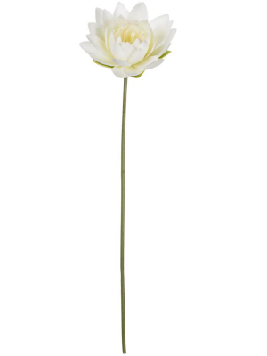 Sullivans Artificial Large Lotus Spray 29"h Off-white Flowers