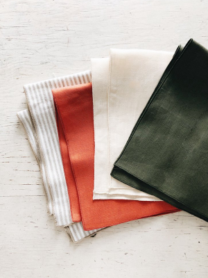 Palette Linen Napkin Set