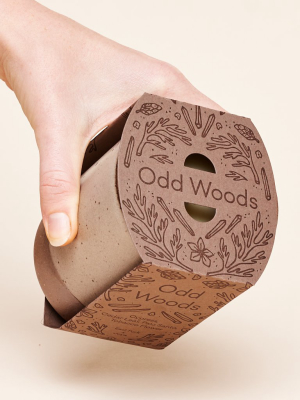 Odd Woods Candle