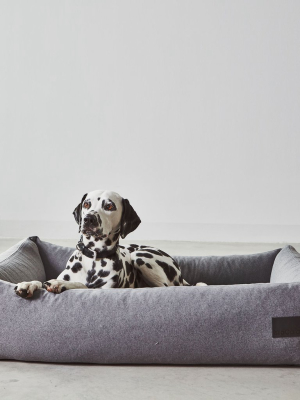 Divo Box Dog Bed