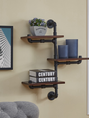 31.1" X 24.2" 3 Tier Industrial Pipe Wall Shelf Brown/black - Danya B.