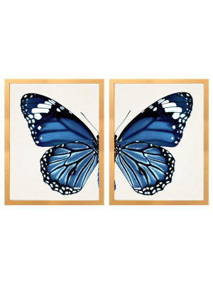 Split Blue Butterfly C