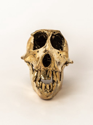 Monkey Skull (pr)