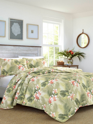 Tropical Orchid Palm Quilt & Sham Set Green - Tommy Bahama