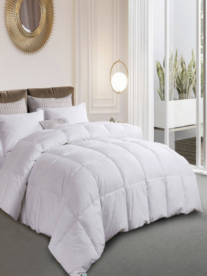 Goose Feather & Down Comforter White - Martha Stewart