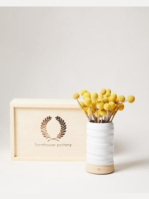 Trunk Vase And Billy Buttons Gift Set
