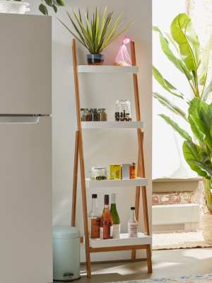 Barkley Storage Shelf