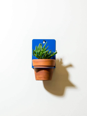 Sheet Metal Wall Planter Blue