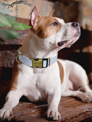 Simple & Smart - Id Pet Collars (s/m/l)