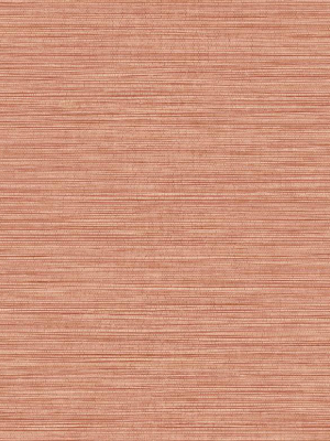 Grasslands Wallpaper In Salmon From The Texture Gallery Collection By Seabrook Wallcoverings