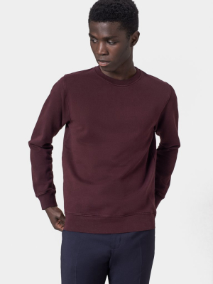 Classic Organic Crew - Oxblood Red