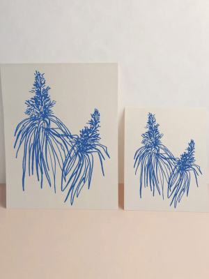 Botanical Art Print