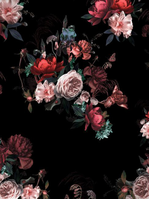 Flor 2 By Nikki Harrison