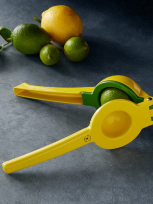 Open Kitchen By Williams Sonoma Dual Lemon Lime Citrus Press