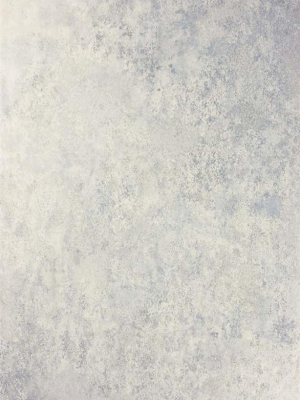 Fresco Wallpaper In Stone/pale Blue From The Enchanted Gardens Collection By Osborne & Little