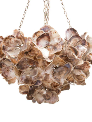 Venus Chandelier Natural Saddle