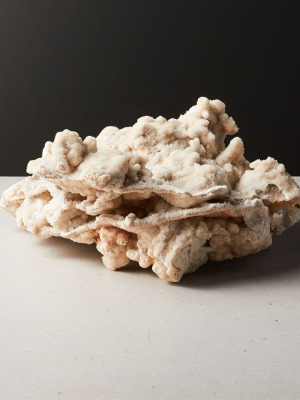 Mountain Coral Object Ivory