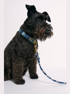 Indigo Dog Collar