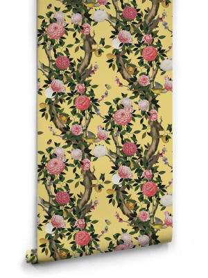 Garden Bloom Wallpaper In Golden Pear From The Kingdom Home Collection By Milton & King