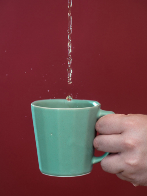 Monday Porcelain Mug - Rosemary Green