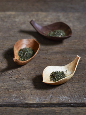 Lotus Tea Scoop - Birch (out Of Stock)