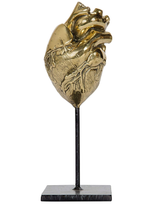 Anatomical Heart On Stand, Brass