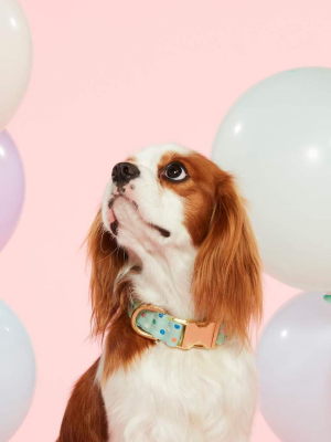 Confetti Dots Dog Collar