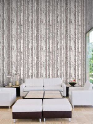 Briarwood Wallpaper In Brown And Ivory From The Terrain Collection By Candice Olson For York Wallcoverings