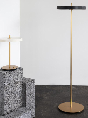 Asteria Floor Lamp