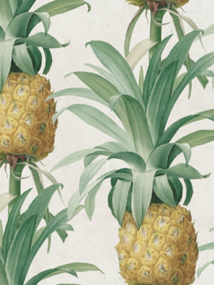 Ananas Wallpaper In Green And Yellow From The Tropical Vibes Collection By Mind The Gap