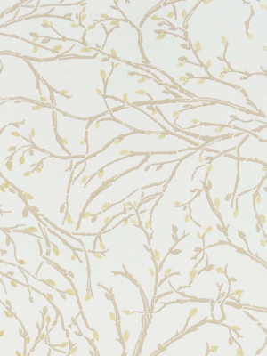 Twiggy Wallpaper In Ivory, Stone, And Gold From The Folium Collection By Osborne & Little