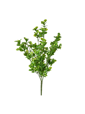 Vickerman 18" Uv Coated Green Boxwood Bush.