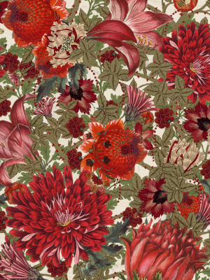 The Flowering Wallpaper In Green, Red, And Cream From The Transylvanian Roots Collection By Mind The Gap