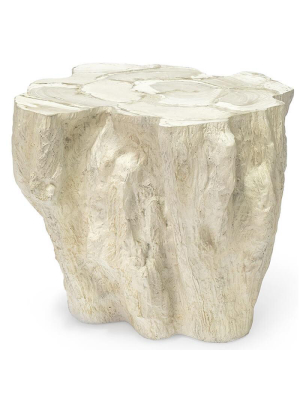 Camilla Fossilized Clam Side Table