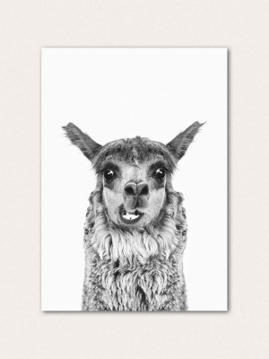 Happy Llama Bw