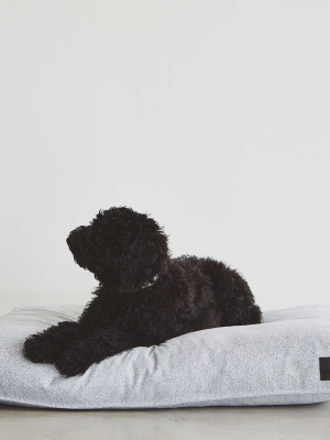 Divo Dog Cushion